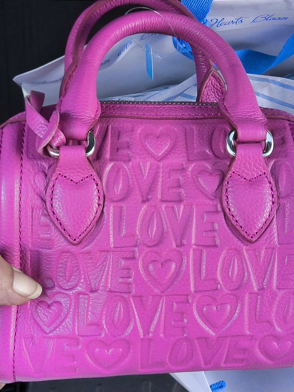 Brighton Fashionista Deeply In Love Mini Satchel